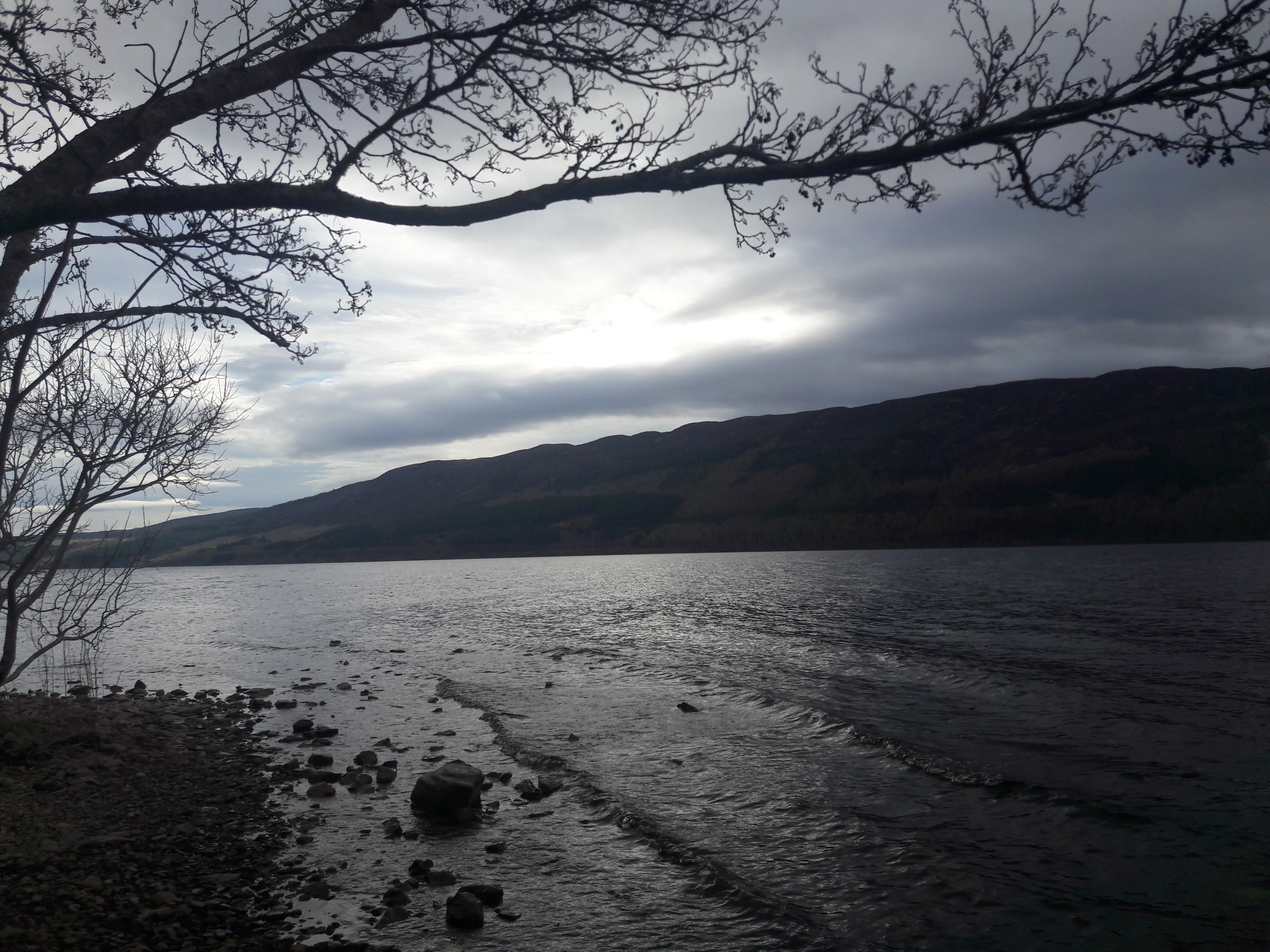 photographie de la rive du LochNess