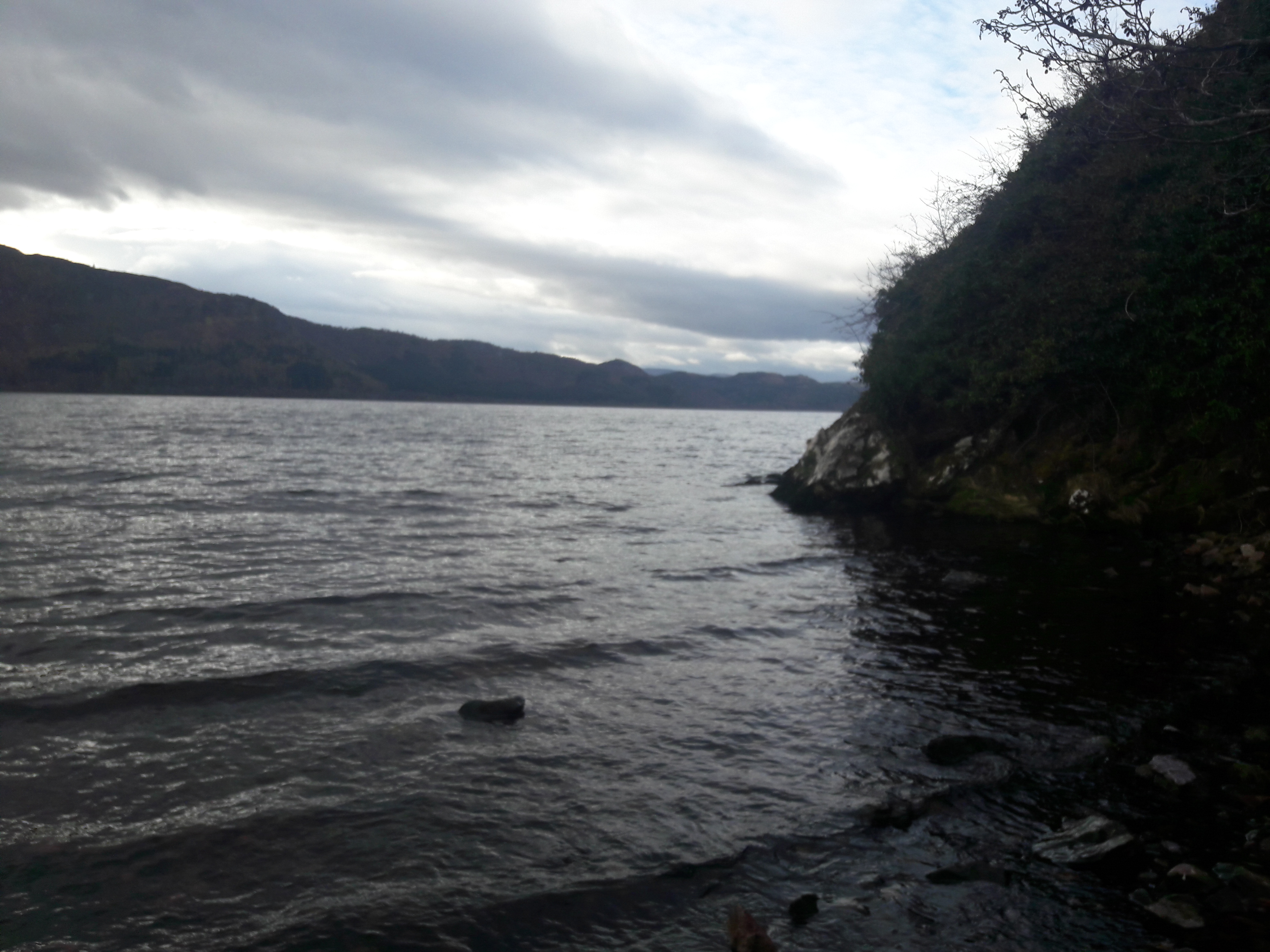 photographie d'une rive du LochNess