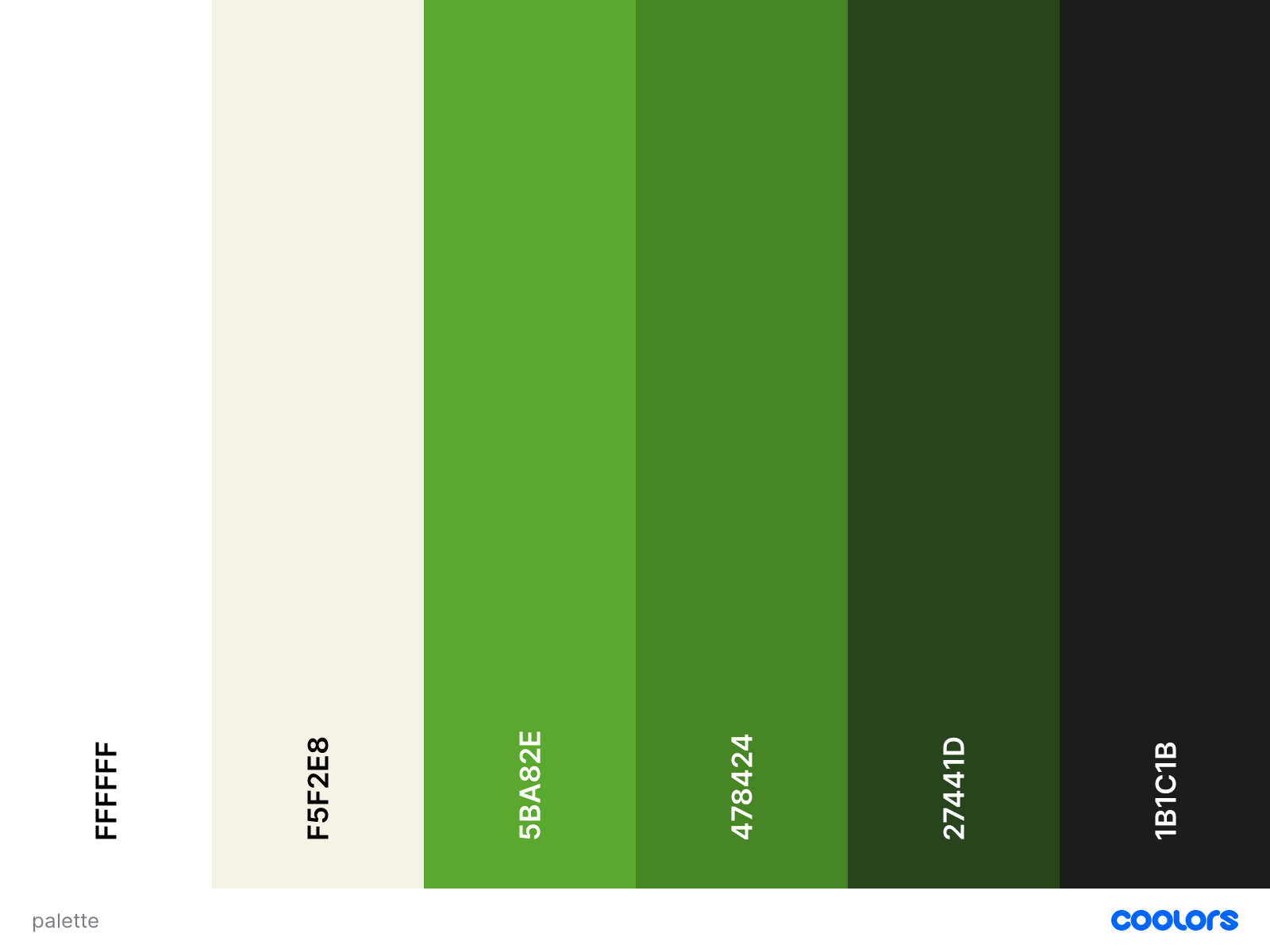 image d'une palette de mes couleurs : du blanc, des teintes de vert et du noir