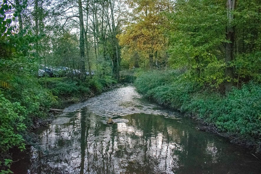 ruisseau